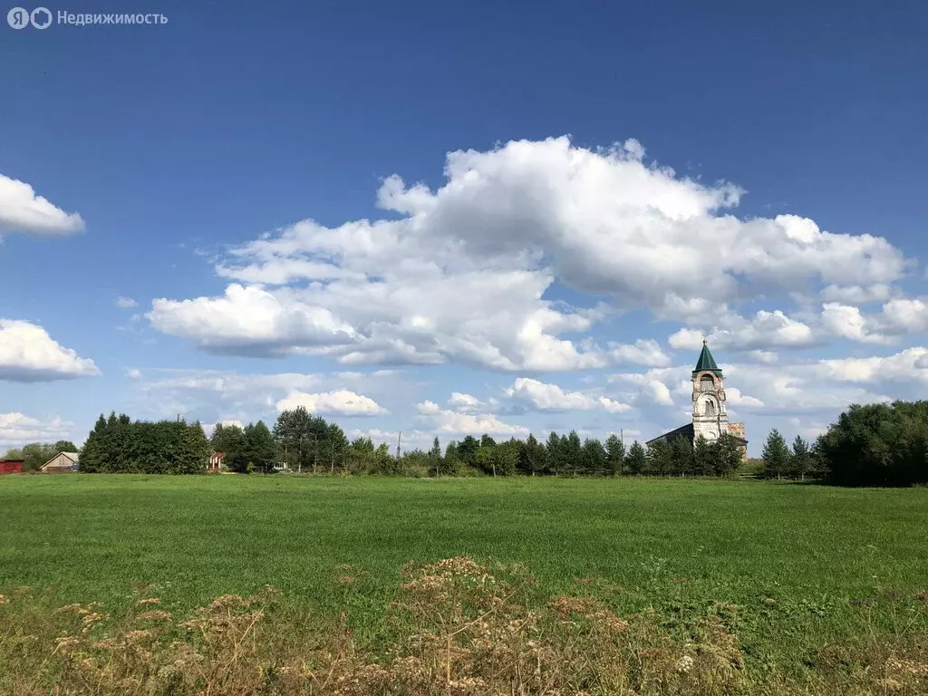 Участок в Архангельская область, Холмогорский муниципальный округ, ... - Фото 1