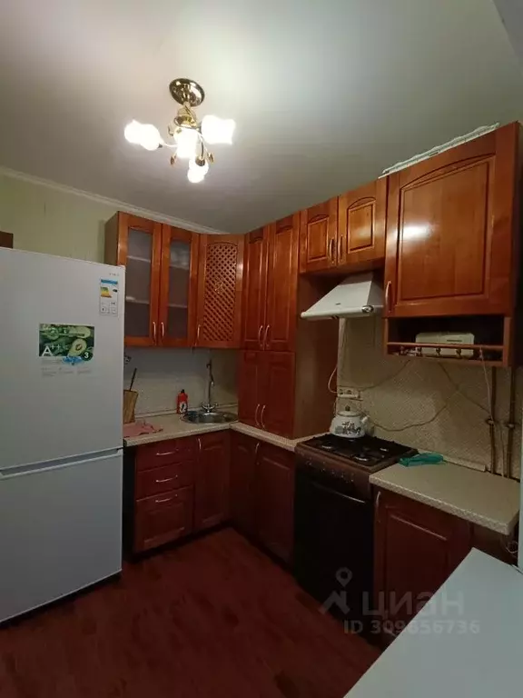 1-к кв. Новгородская область, Новгородский район, Ермолинское с/пос, ... - Фото 1