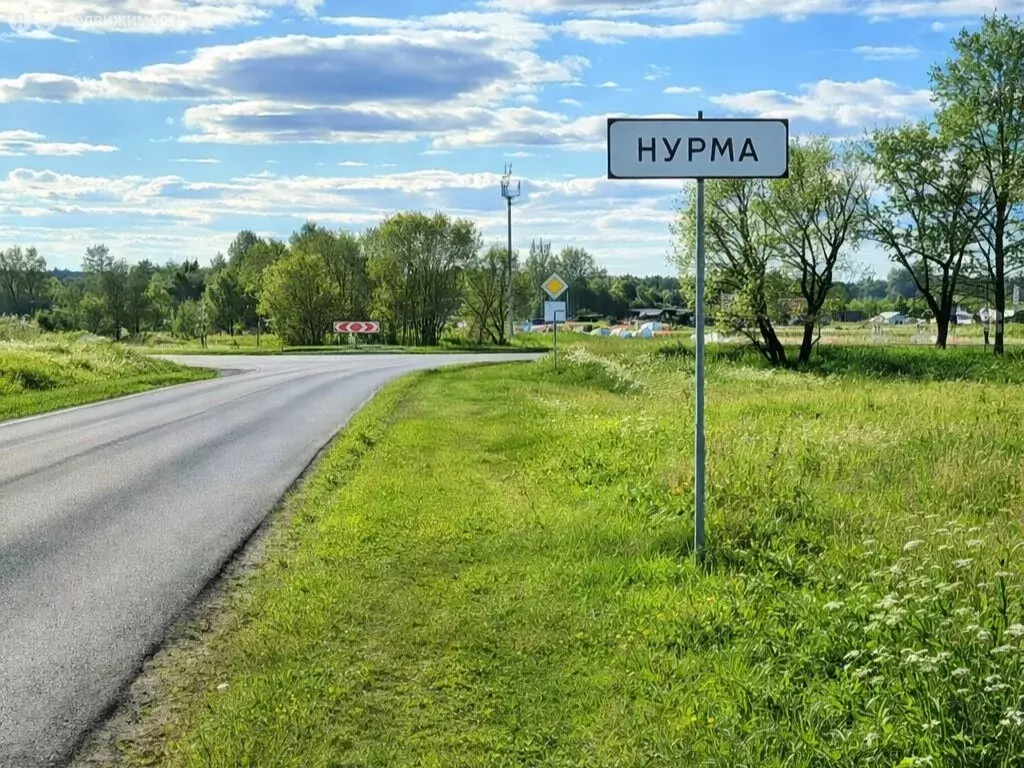 Участок в Медведевский район, Нурминское сельское поселение, село ... - Фото 1