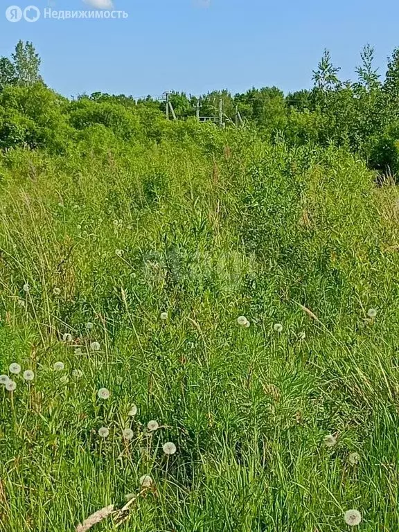 Участок в Хабаровский район, село Гаровка-1 (11.3 м) - Фото 0