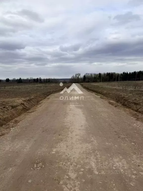Участок в Ярославская область, Тутаевский муниципальный округ, д. ... - Фото 2