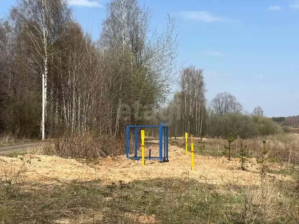 Участок в Ярославская область, Некрасовский муниципальный округ, д. ... - Фото 1