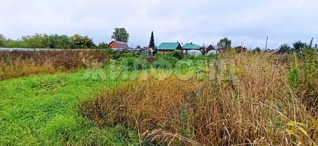 Участок в Новосибирская область, Мошковский район, с. Барлак ул. ... - Фото 1