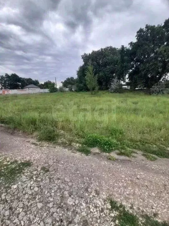 Участок в Волгоградская область, Среднеахтубинский район, Куйбышевское ... - Фото 1