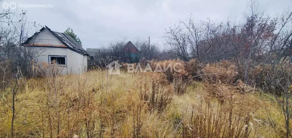 Участок в Пензенский район, Саловский сельсовет, садоводческое ... - Фото 0