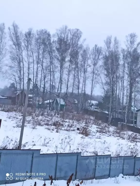 Участок в Новосибирская область, Новосибирский район, Барышевский ... - Фото 2