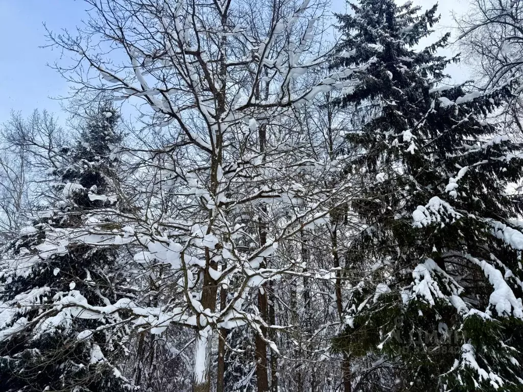 Участок в Московская область, Одинцовский городской округ, пос. ... - Фото 2