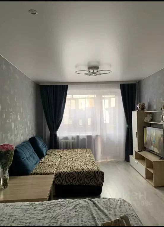 1-к кв. Рязанская область, Рязань ул. Типанова, 22 (31.0 м) - Фото 1
