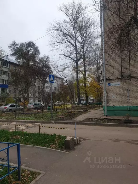 2-к кв. Самарская область, Тольятти Молодежный бул., 31 (52.3 м) - Фото 1