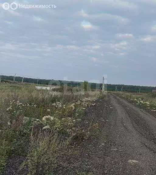 Участок в Аргаяшский район, Норкинское сельское поселение, деревня ... - Фото 0