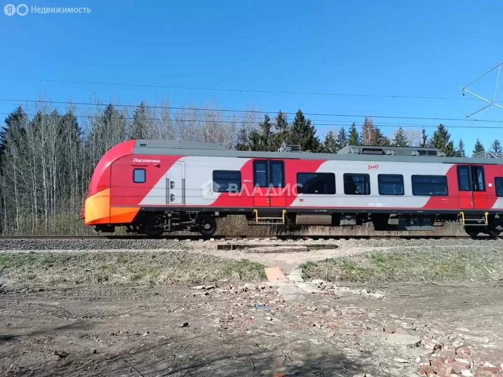Участок в Зеленоградск, садоводческое товарищество Прибой, Прохладная ... - Фото 1