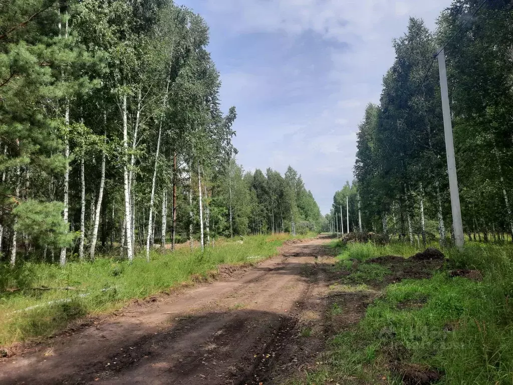 Участок в Новосибирская область, Искитимский район, с. Морозово  (15.0 ... - Фото 1