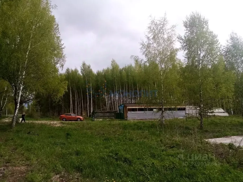 Участок в Нижегородская область, Городецкий муниципальный округ, д. ... - Фото 2
