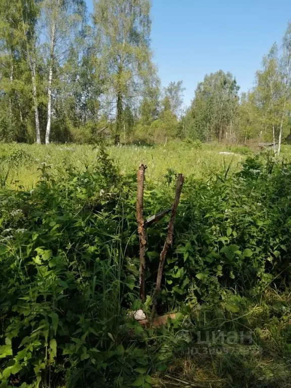 Участок в Тверская область, Калининский муниципальный округ, Эдельвейс ... - Фото 1
