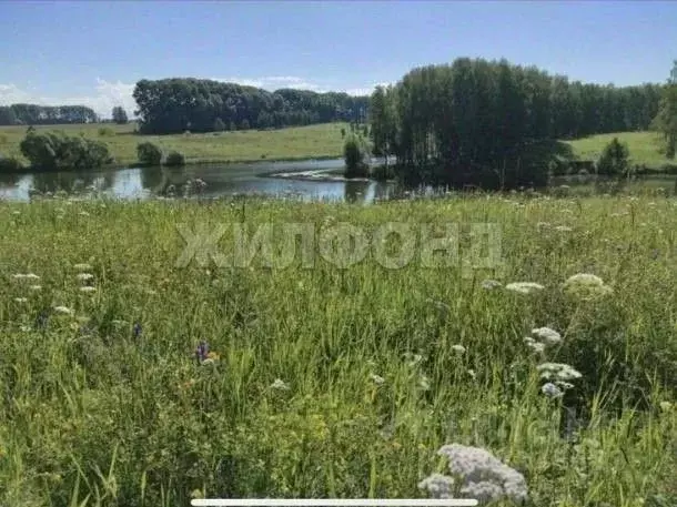 Участок в Новосибирская область, Черепановский район, Посевная рп ул. ... - Фото 0