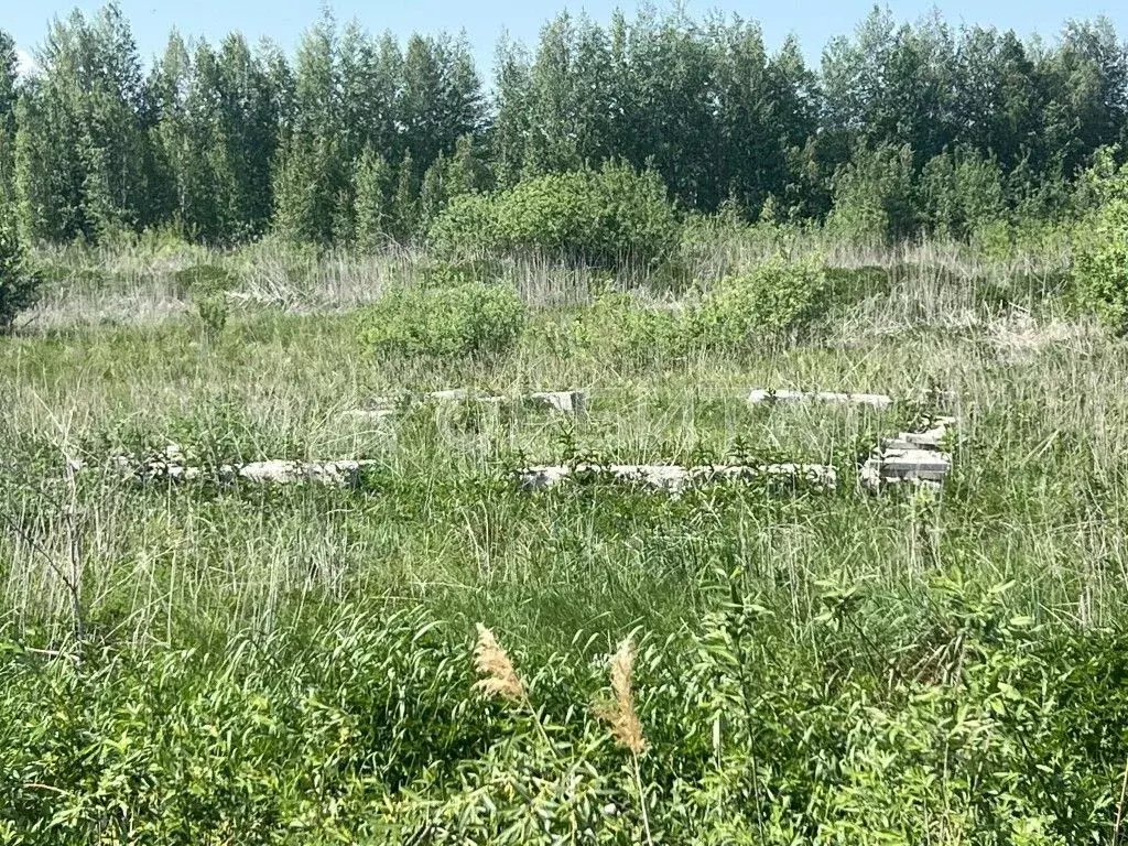 Участок в Тюменская область, Тюменский район, с. Червишево ул. ... - Фото 1