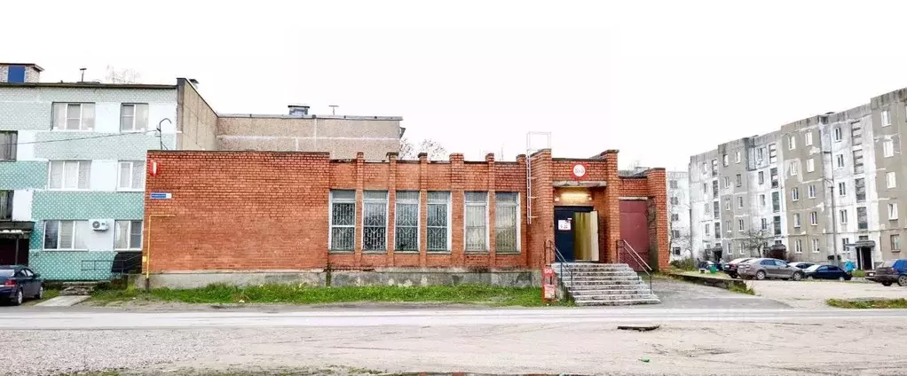 Торговая площадь в Псковская область, Остров Строитель мкр, 12 (333 м) - Фото 2