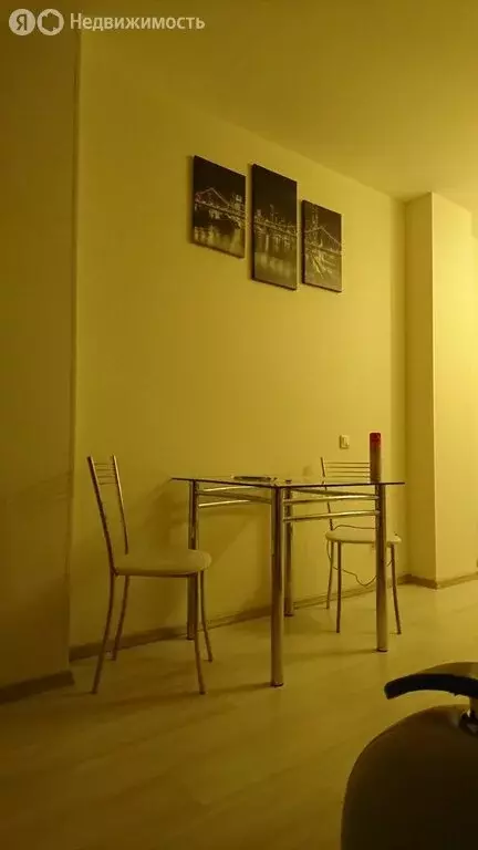 Квартира-студия: Санкт-Петербург, улица Орджоникидзе, 52 (25 м) - Фото 1