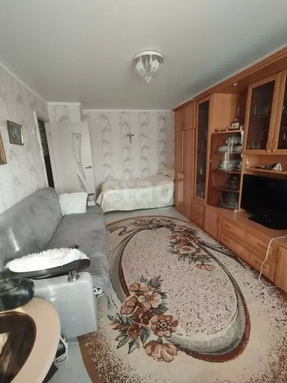 1-к кв. Курганская область, Шадринск Красноармейская ул., 70 (30.4 м) - Фото 0