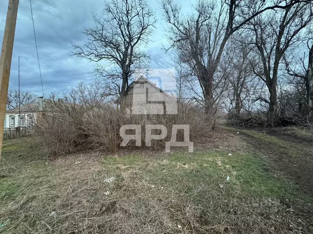 Участок в Ростовская область, Неклиновский район, Советка сл. Школьная ... - Фото 1