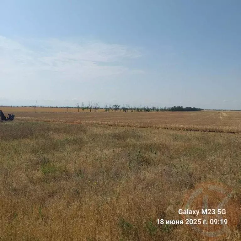 Участок в Крым, Сакский район, Митяевское с/пос, Учитель СНТ  (5.0 ... - Фото 1