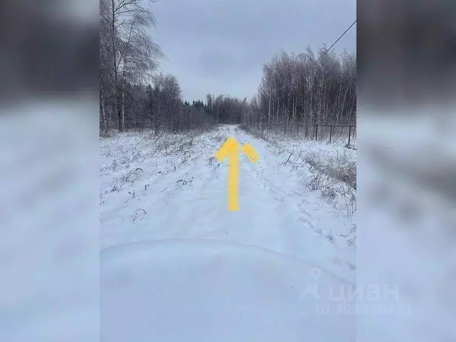 Участок в Московская область, Клин городской округ, д. Матвеево  ... - Фото 1