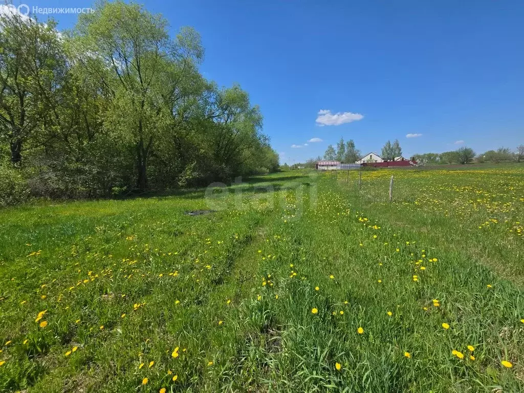 Участок в село Каменка, Школьная улица (22 м) - Фото 2