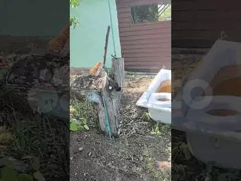 Участок 6,2 сот. (СНТ, ДНП) - Фото 1