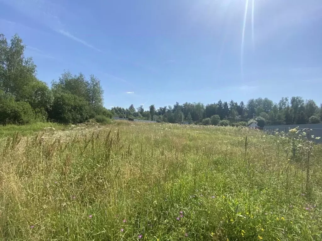 Участок в Московская область, Солнечногорск городской округ, д. ... - Фото 0