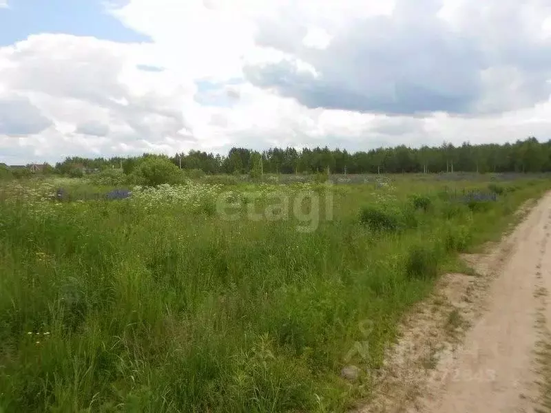 Участок в Нижегородская область, Городецкий муниципальный округ, с. ... - Фото 1