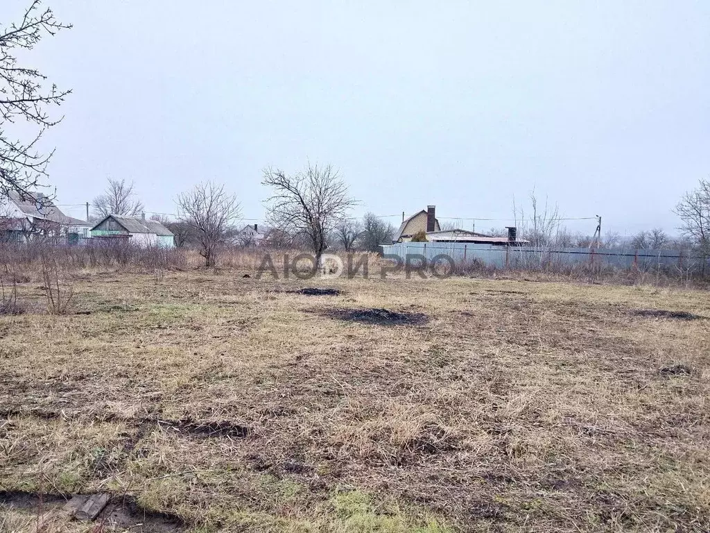 Участок в Воронежская область, Хохольское городское поселение, с. ... - Фото 2