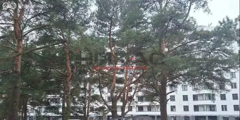 1-комнатная квартира: посёлок Красный Бор, улица Энергетиков, 5 (40 м) - Фото 1