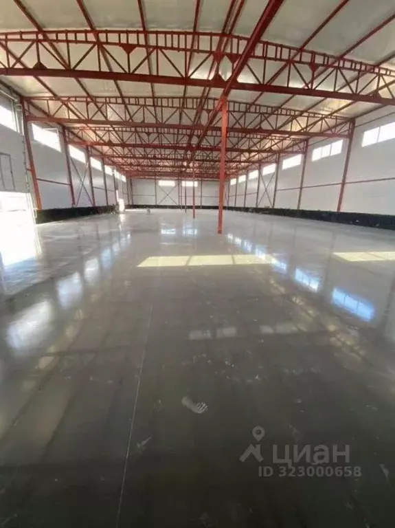 Помещение свободного назначения в Московская область, Раменский ... - Фото 1