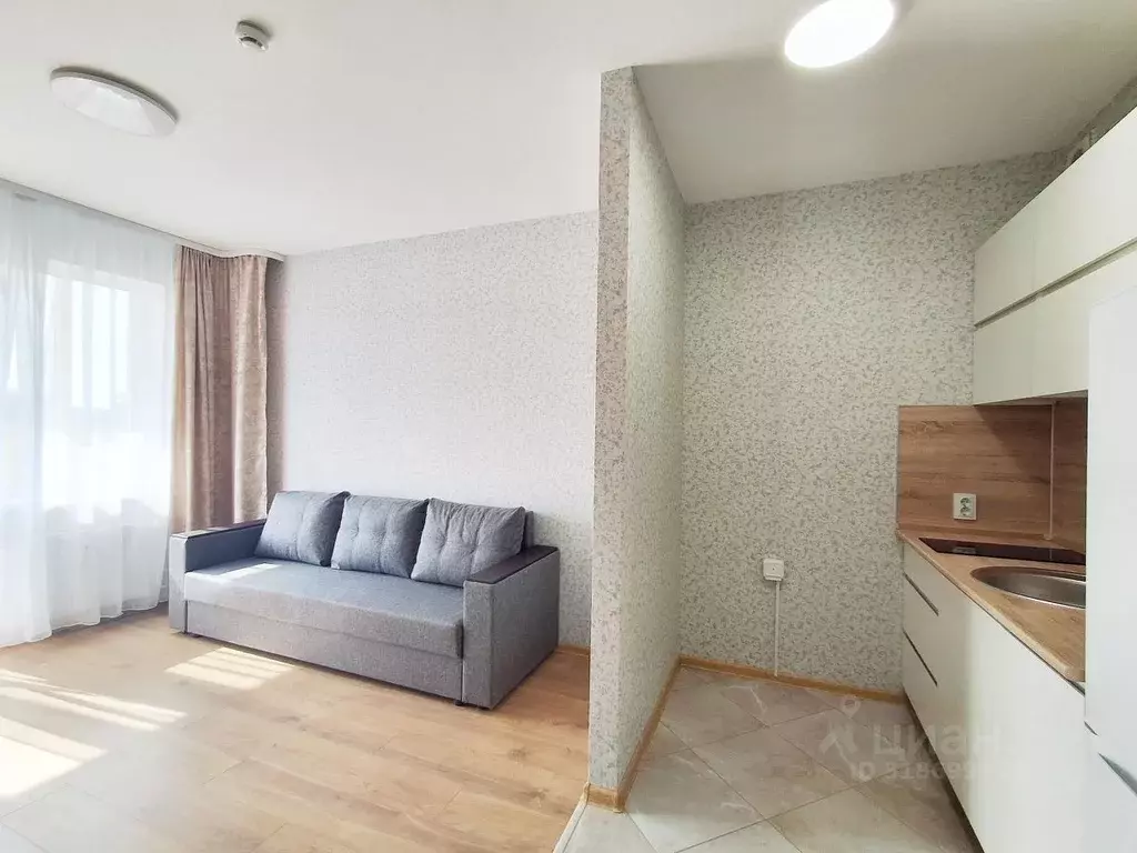 Студия Санкт-Петербург ул. Бабушкина, 84к1 (25.0 м) - Фото 1