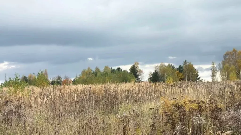 Участок в Московская область, Кашира городской округ, д. Колтово  ... - Фото 1