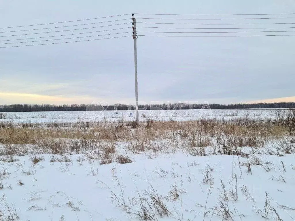 Участок в Тюменская область, Тюменский муниципальный округ, ... - Фото 1