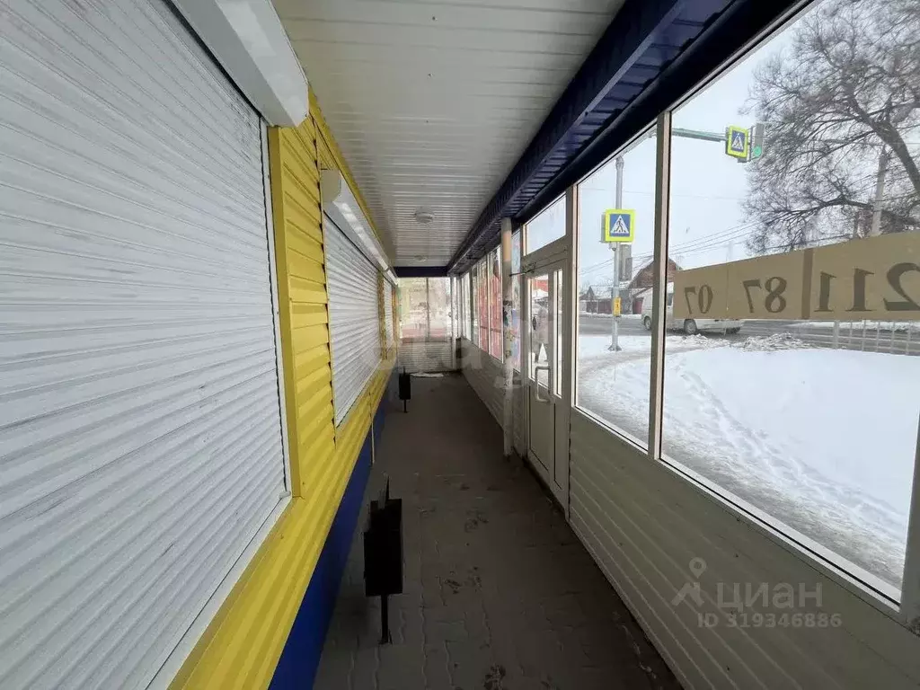 Торговая площадь в Воронежская область, Борисоглебск Северный мкр, 42 ... - Фото 1