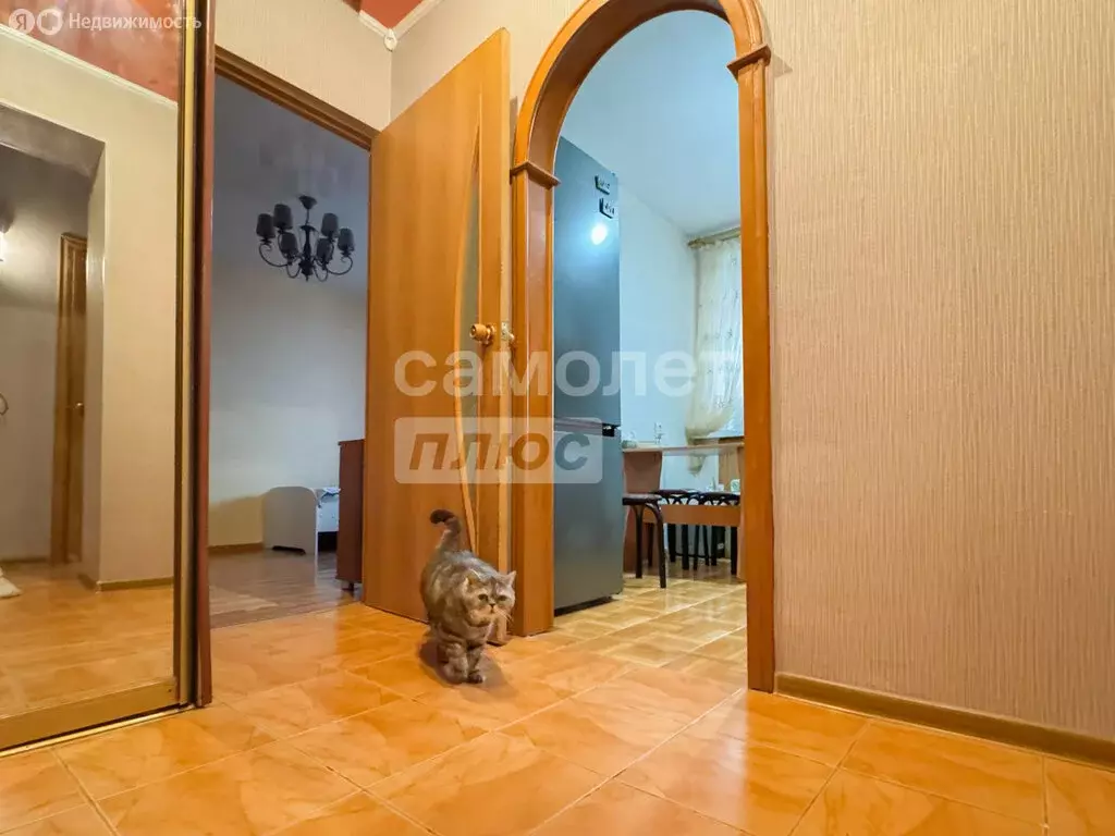 2-комнатная квартира: Благовещенск, улица Шевченко, 19 (50 м) - Фото 1