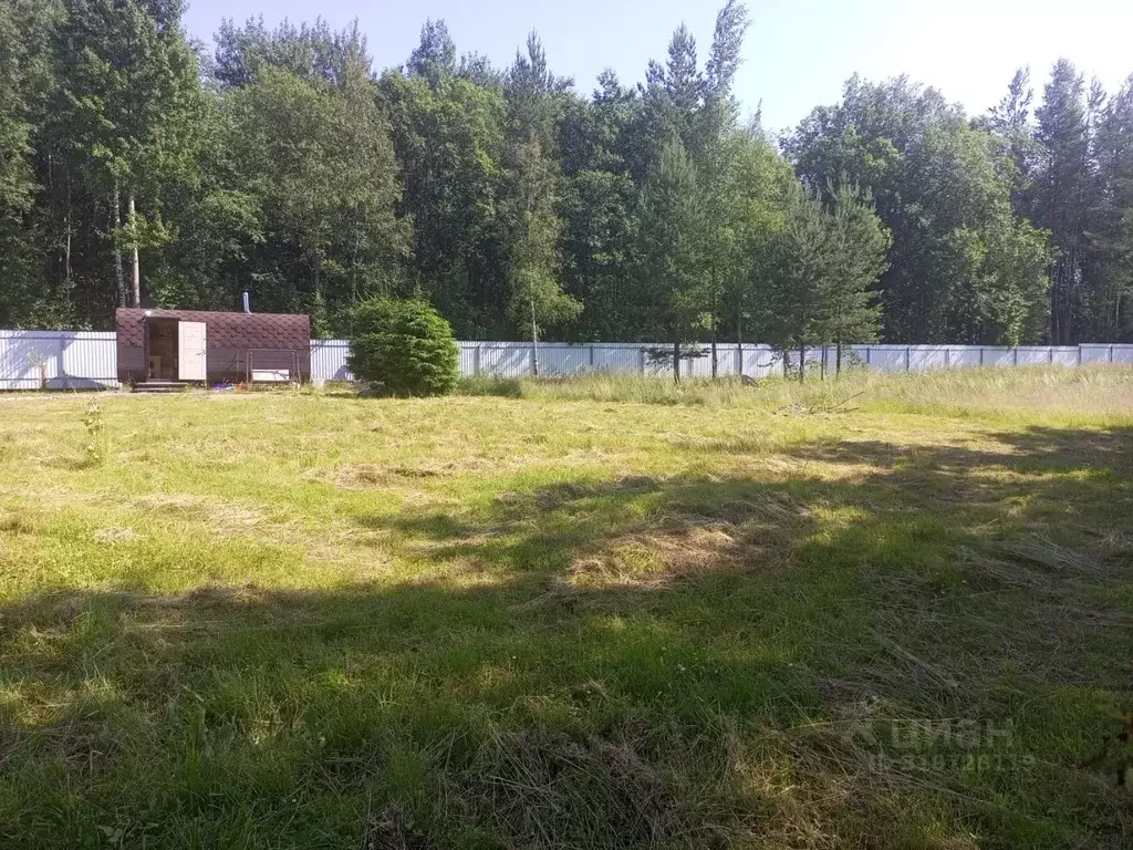 Участок в Ленинградская область, Приозерский район, Красноозерное ... - Фото 1