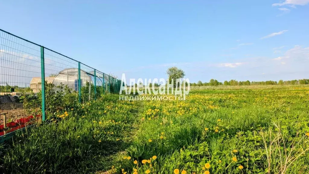 Участок в Ленинградская область, Ломоносовский район, Гостилицкое ... - Фото 1