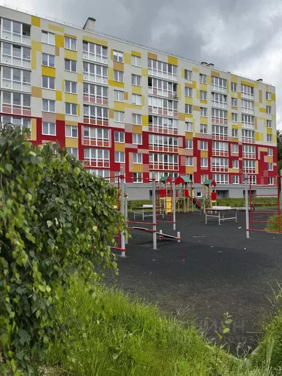 Студия Калининградская область, Светлогорск ул. Молодежная, 1 (21.0 м) - Фото 0