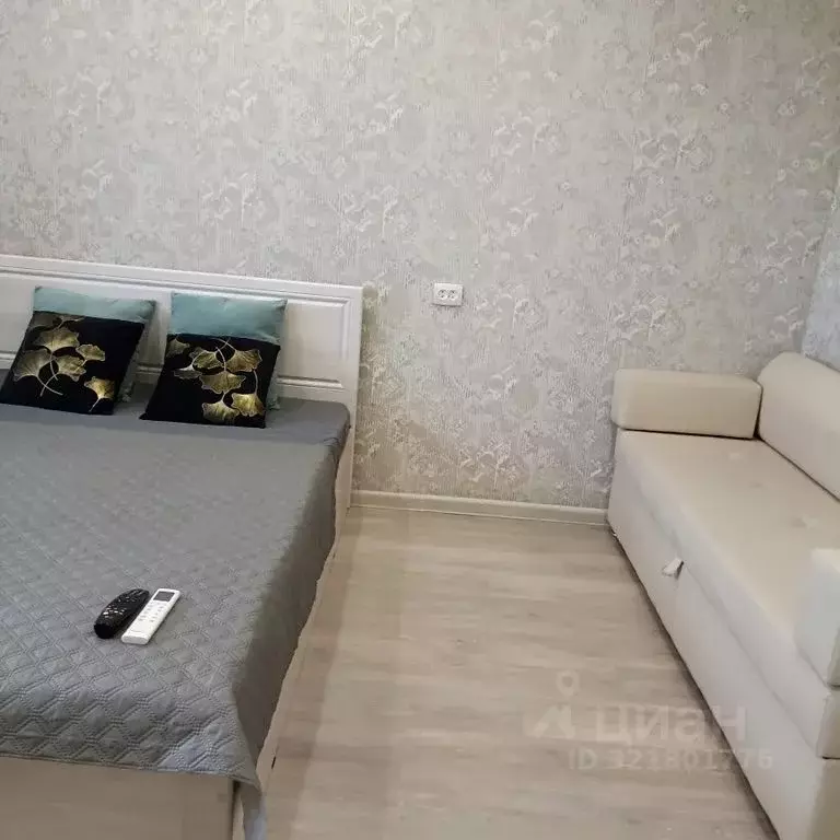 1-к кв. Амурская область, Благовещенск Зейская ул., 220 (38.0 м) - Фото 0