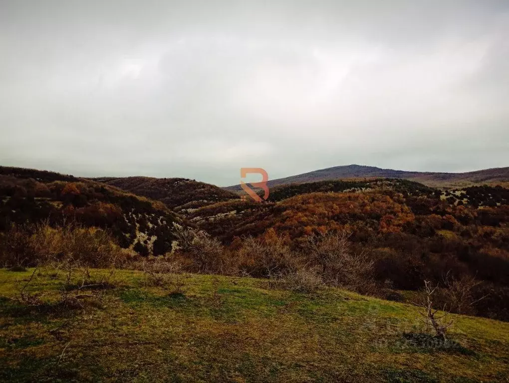 Участок в Севастополь с. Новобобровка, ул. Баденкиной, 1Д (10.0 сот.) - Фото 1