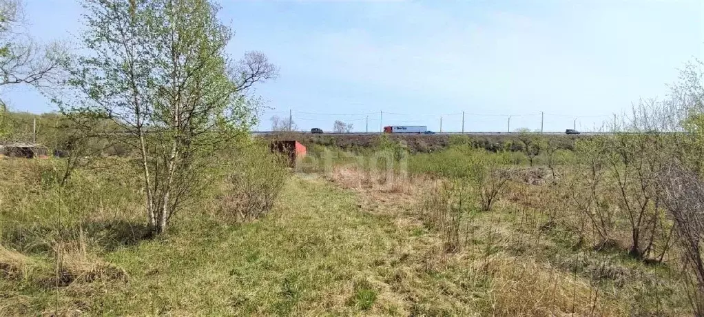 Участок в Приморский край, Надеждинский район, с. Вольно-Надеждинское ... - Фото 1