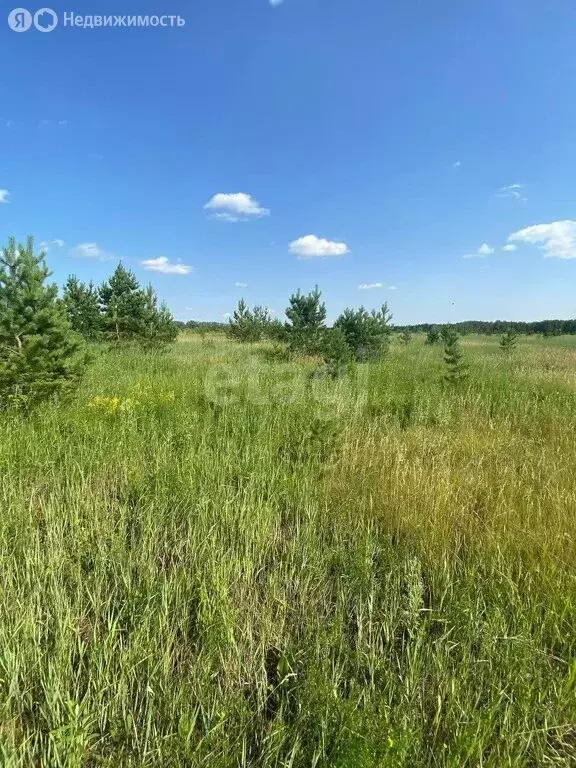 Участок в Сосновский район, село Кременкуль (8.5 м) - Фото 0