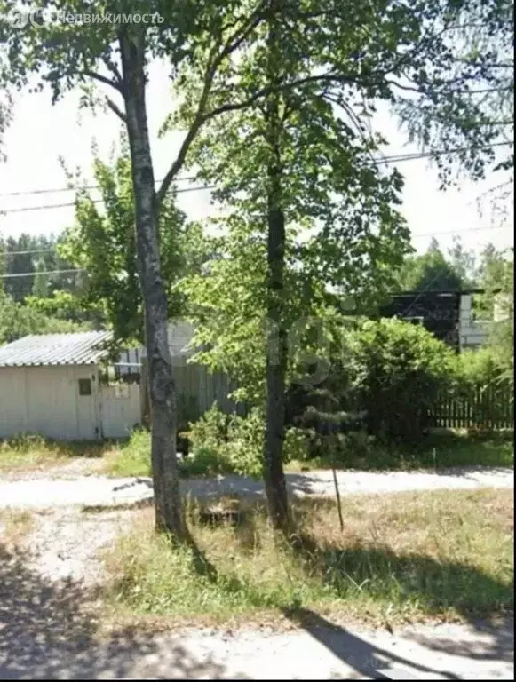 Участок в городской посёлок Красный Бор, Советский проспект (7 м) - Фото 2