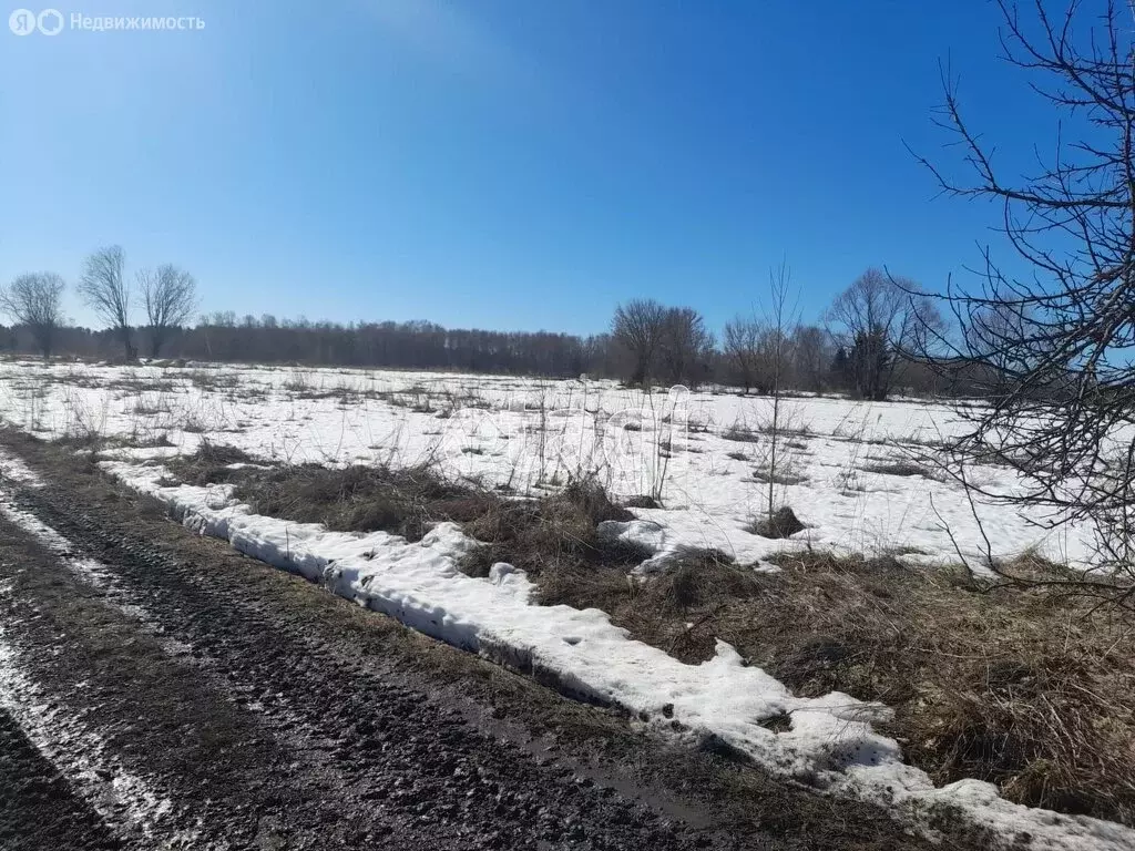 Участок в село Теменичи, Светлая улица (28 м) - Фото 0