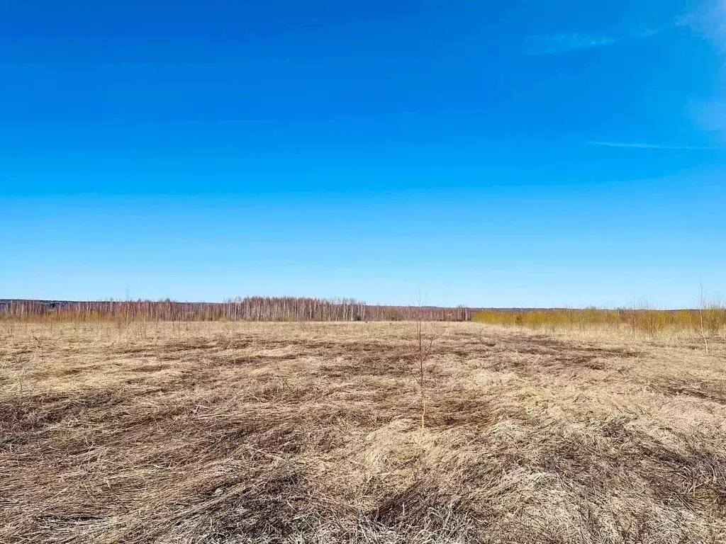 Участок в Московская область, Клин городской округ, д. Плюсково  (15.0 ... - Фото 1