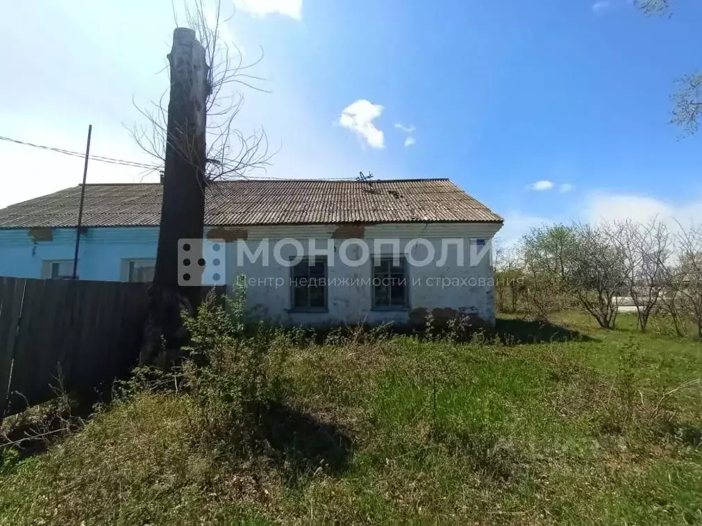 Дом в Амурская область, Белогорский муниципальный округ, с. ... - Фото 2