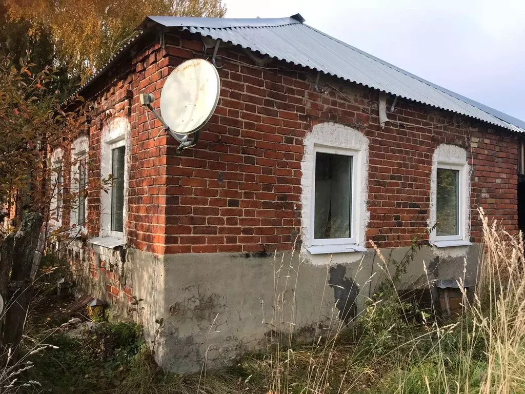 Дом в Рязанская область, Спасский муниципальный округ, с. Торчино ул. ... - Фото 1